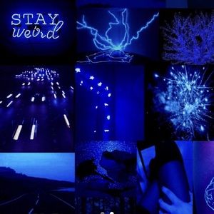 Meet your Posher, Mikayla